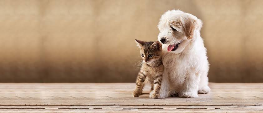 Pet supplies