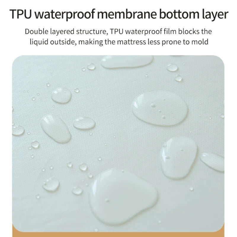 Waterproof Fitted Bed Sheet with 360 Elastic Band Mattress Protector Cover Bedspreads for Single Double King Queen Size Bedsheet