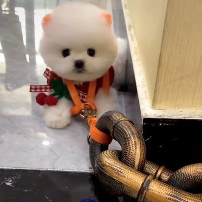 Simulated Iron Chain with Dog Chain Traction Rope (Funny Outdoor Plastic Thick Chain)